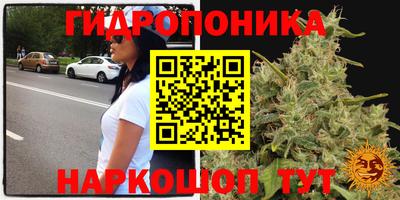 первитин Заводоуковск