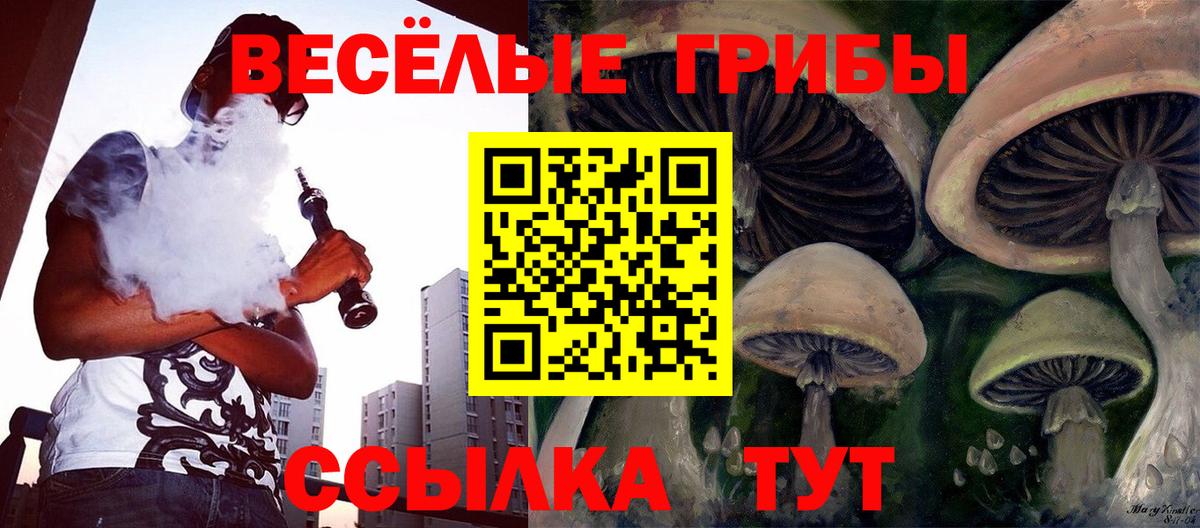 Моздок  Псилоцибиновые грибы прущие грибы  Вход с VPN 