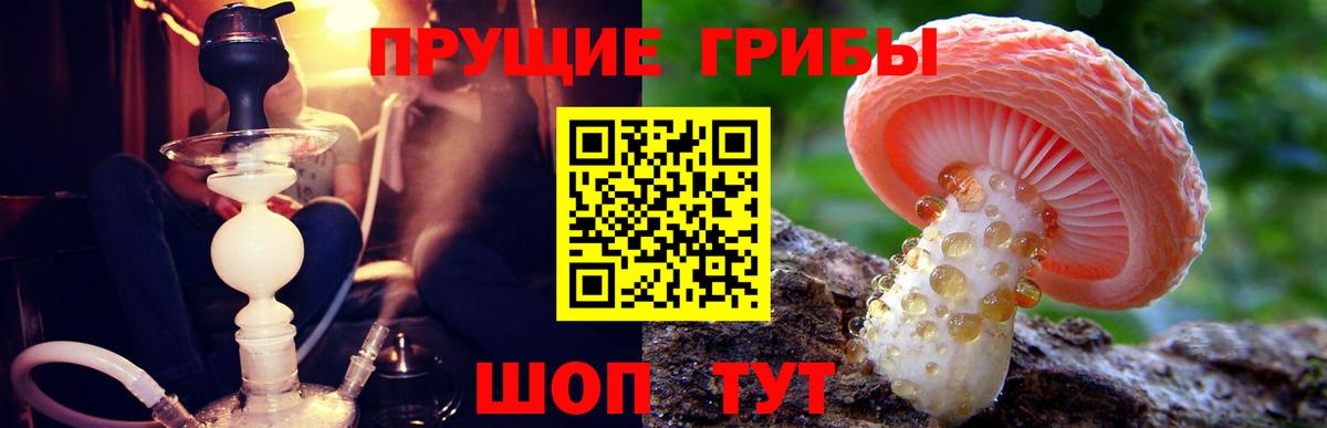 Галлюциногенные грибы ЛСД Моздок